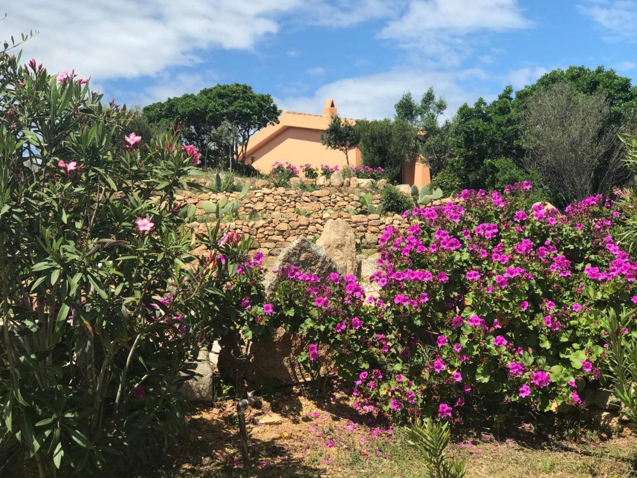 Casagliana Olbia